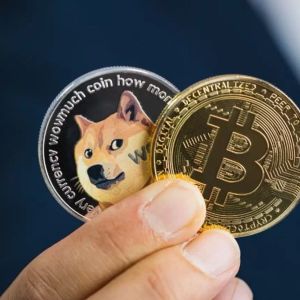 With This Innovation, Dogecoin (DOGE) Investors Will Soon Be Able to Earn More Bitcoin!