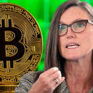 6.7 Billion Dollars Managing Bitcoin Bull Cathie Wood Talks About Cryptocurrencies After Trump Era Begins