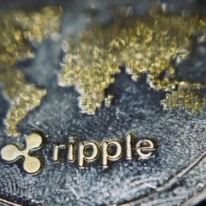 Why Has the XRP Rally Lost Its Momentum? What Can Happen Next? Here are Predictions