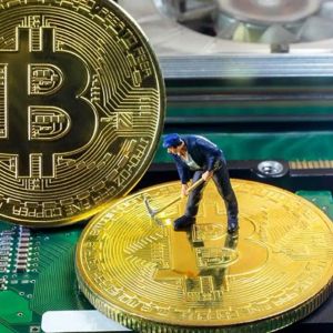 Giant Mining Company Announces: Mining These Two Altcoins Is Three Times More Profitable Than Bitcoin!