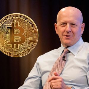 BREAKING: Goldman Sachs CEO Makes a Hot Bitcoin Statement