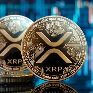 XRP Investor Wrote His Own Story! Took a Big Risk, Gained 7,500 Percent in XRP!