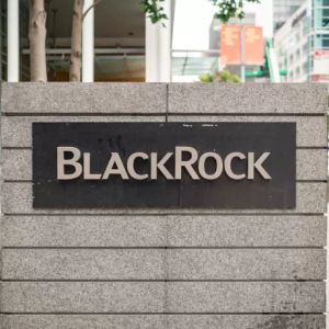 BlackRock Closes the Door on Altcoins: "Only Bitcoin and Ethereum!"