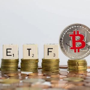 Spot Exchange Traded Funds (ETFs) Continue Positive Streak as Bitcoin Falls! Here Are the Details