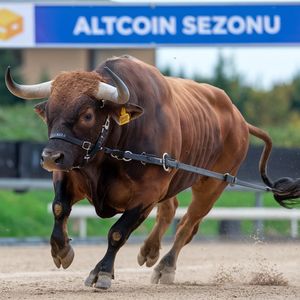 Is an Altcoin Bull on the Way? Analysts Point to New Emerging Data