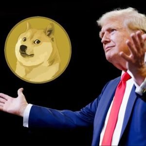 JUST IN!  First Move from DOGE Ministry Led by Elon Musk! Dogecoin (DOGE) Price Soars!