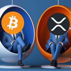 $500 to $1M? XRP & Bitcoin Holders Are Watching These Next-Gen Cryptos!