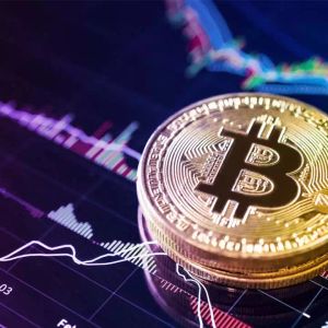 Investor Interest Has Shifted to Bitcoin and These Altcoins Lately! What Does It Mean for BTC and Cryptocurrencies?