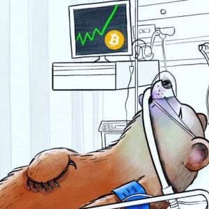 Analyst Says "Bitcoin and Altcoins Are Getting Ready to Upset the Bears", Reveals His Expectations!