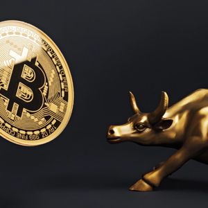 Is the Bull in Bitcoin and Altcoins Possibly Over? Analytics Firm Addresses Concerns, Shares Technical Details