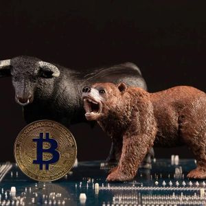 Bitwise Official Says “The Market Is Absolutely Wrong” About The Decline, Shares His Bullish Scenario