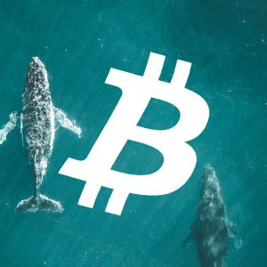 ‘Whales Entered Bitcoin Short at $88,000,’ Analysis Company Says, Explains Its Meaning