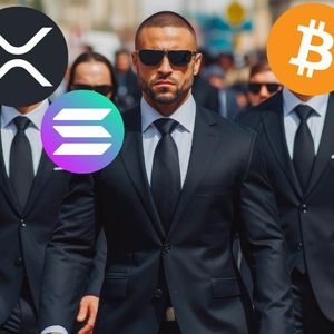 Will Solana Be 2025’s Top Gainer? Ethereum, VeChain, ADA, and Optimism Are Building Fast