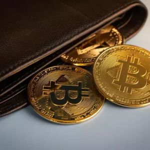 Corporate Giant Announces $100 Million Reserve Plan! "Bitcoin, Ethereum, XRP and Three Altcoins Selected!"