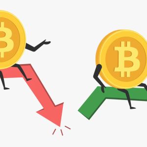 What Will Happen to the Bitcoin (BTC) Price Going Forward? Analysts Share Their Short-Term Expectations