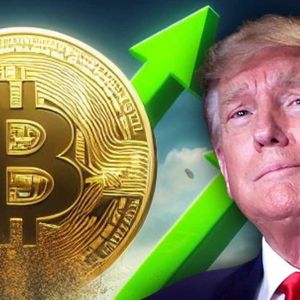 Chinese Giant Company Announces Plans to Purchase Large Amounts of Bitcoin and TRUMP – Here Are the Details
