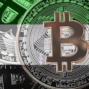 United Arab Emirates Sovereign Wealth Fund Increases Bitcoin Holdings – Here’s How Much