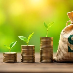 $100 to $1 Million? XRP, Ethereum, and MAGACOIN FINANCE Are Pulling in the Smartest Capital