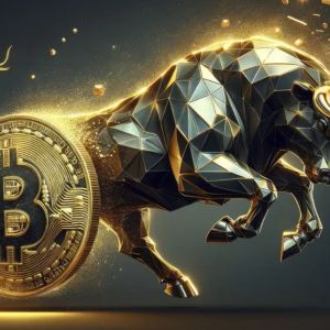 Bitcoin (BTC) Runs From Record to Record Again, Analysis Firm Announces Price Target!