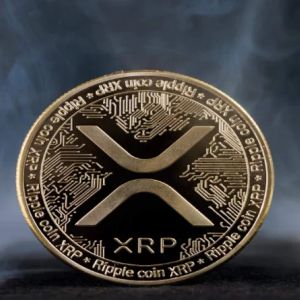Attention Ripple Investors! Another Big Step for XRP is Being Taken in the US Today!