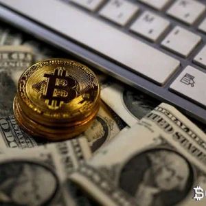 Attention: If You Hold Cryptocurrency in This Exchange, Your Assets May Be Subject to Fees If They Remain Inactive