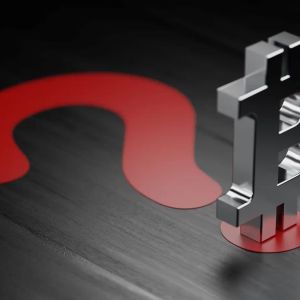 Two Companies Announce Bitcoin Purchase Strategy – Here’s How Much They Plan to Buy