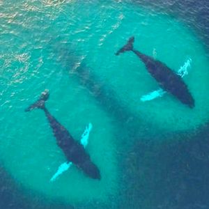 Amid Today’s High Volatility, Crypto Whales Made These Trades – Here Are the Profit-Loss Ratios