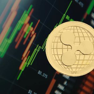 A Development That Could Be a Game-Changer for XRP: Ripple Co-Founder, Who Has Never Spoken Before and Has Never Been Photographed, Has Shared a Message