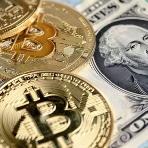 Solana and Ripple (XRP) Price Analysis July 2025: Analysts Say Altcoins May Be Oversold