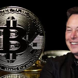 Elon Musk Founded His Own Political Party in the US – What Does This Mean for Bitcoin (BTC) and How Will It Affect It?