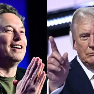 Elon Musk Talked About Bitcoin (BTC), Donald Trump Talked About Musk! Here Are His Statements!