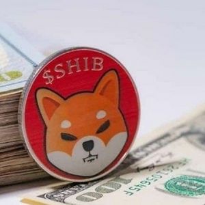 Top Crypto to Buy in 2025 for 30x ROI? MAGACOIN FINANCE Joins Solana and SHIBA INU on the List