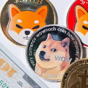 Best Meme Coins to Buy Now: DOGE, SHIBA INU, and MAGACOIN FINANCE in Early Stages