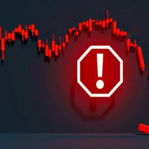 The Altcoin Team Announces the Expected Rescue Plan After Its Price Crashed!