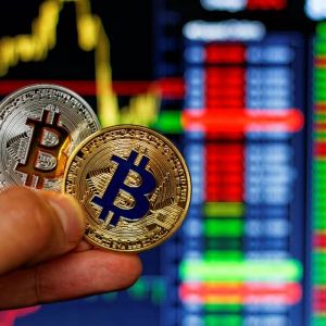 How Much Profit Would You Make If You Regularly Bought Bitcoin Every Day Since 2022? Here’s It’s in Real Life