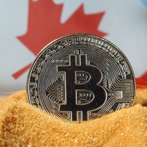 Canadian-Based Tech Company Approves Treasury Strategy Aiming to Collect 6,000 Bitcoins! Details Here