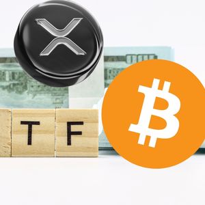 XRP and NEO Price Analysis: What to Watch in the Coming Weeks