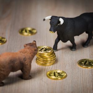New Metric Discovered to Understand Whether Cryptocurrencies Are in a Bull or Bear Market