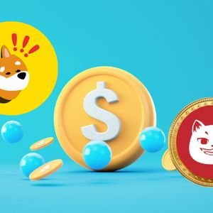 BONK Is Booming, But CATZILLA Could Deliver Bigger Gains — Here’s Why It’s the Best Investment Now