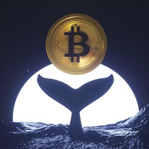 Ancient Whale From the Satoshi Era That Transferred 80,000 Bitcoins Sold Them All — The Whale’s Identity May Have Been Revealed