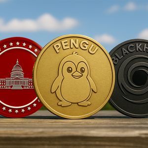 Hidden Altcoin Gems for 2025: MAGACOIN, PENGU, and Blackhole