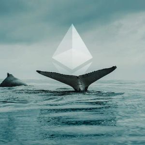 Whale Who Bought Ethereum at $0.31 Ended Long Selling Wave and Started Buying – Here Are the Details