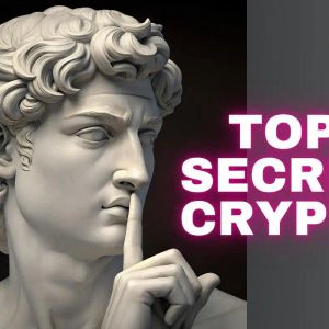 Best Altcoins to Include in Your Portfolio in August 2025