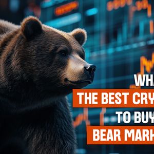 Bear Market Fortune Makers: The Best Cryptos to Buy Before the Next Bull Run