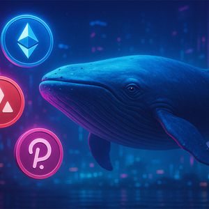 Whales Quietly Accumulate Ethereum, Avalanche, and Polkadot as Altseason Eyes Comeback