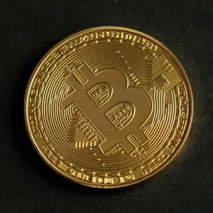 Canary Capital CEO Claims Bitcoin Will Reach This Point and Then Experience a Major Bear Market