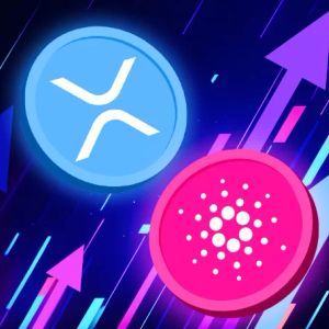 Market Is Falling, But XRP and Cardano (ADA) Whales Are Thriving – Here are the Latest Figures