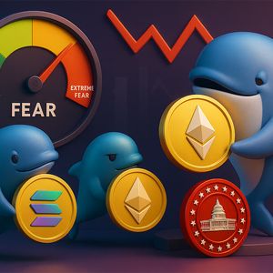 Market Fear Index Spikes — Yet Whales Buy Ethereum, Solana and MAGACOIN FINANCE