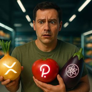 Which Interoperability Altcoin Is Best to Buy? XRP, Cosmos or Polkadot Compared