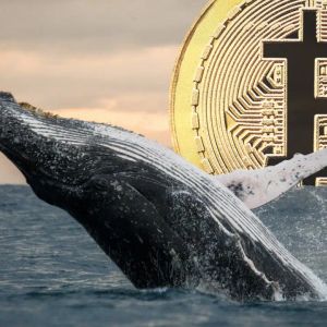 $5 Billion Bitcoin Whale Makes New Move: But This Time, It Didn’t Buy BTC